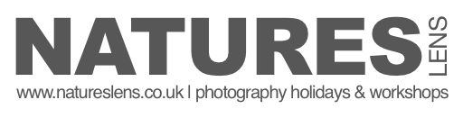 Natureslens Logo Dark Grey Not Retina