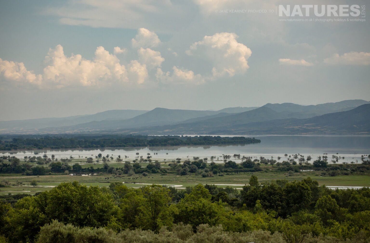The View Of Lake Kerkini From Our Wonderful Hotel Accommodation