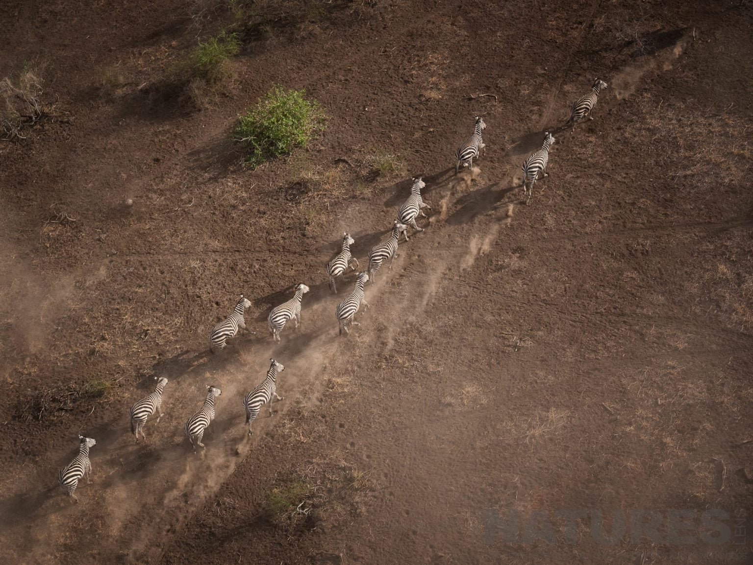 Our Ultimate African Wildlife Holiday In Kenya Rift Valley Can Include Optional Helicopter Photography Sessions Which Provide A Unique Perspective On The Wildlife