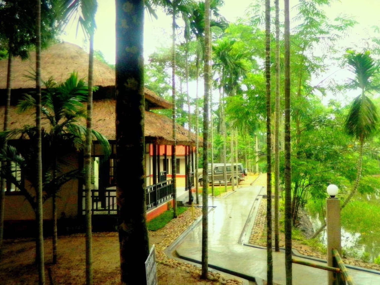 Wildlife Of Kaziranga National Park Accommodation 02