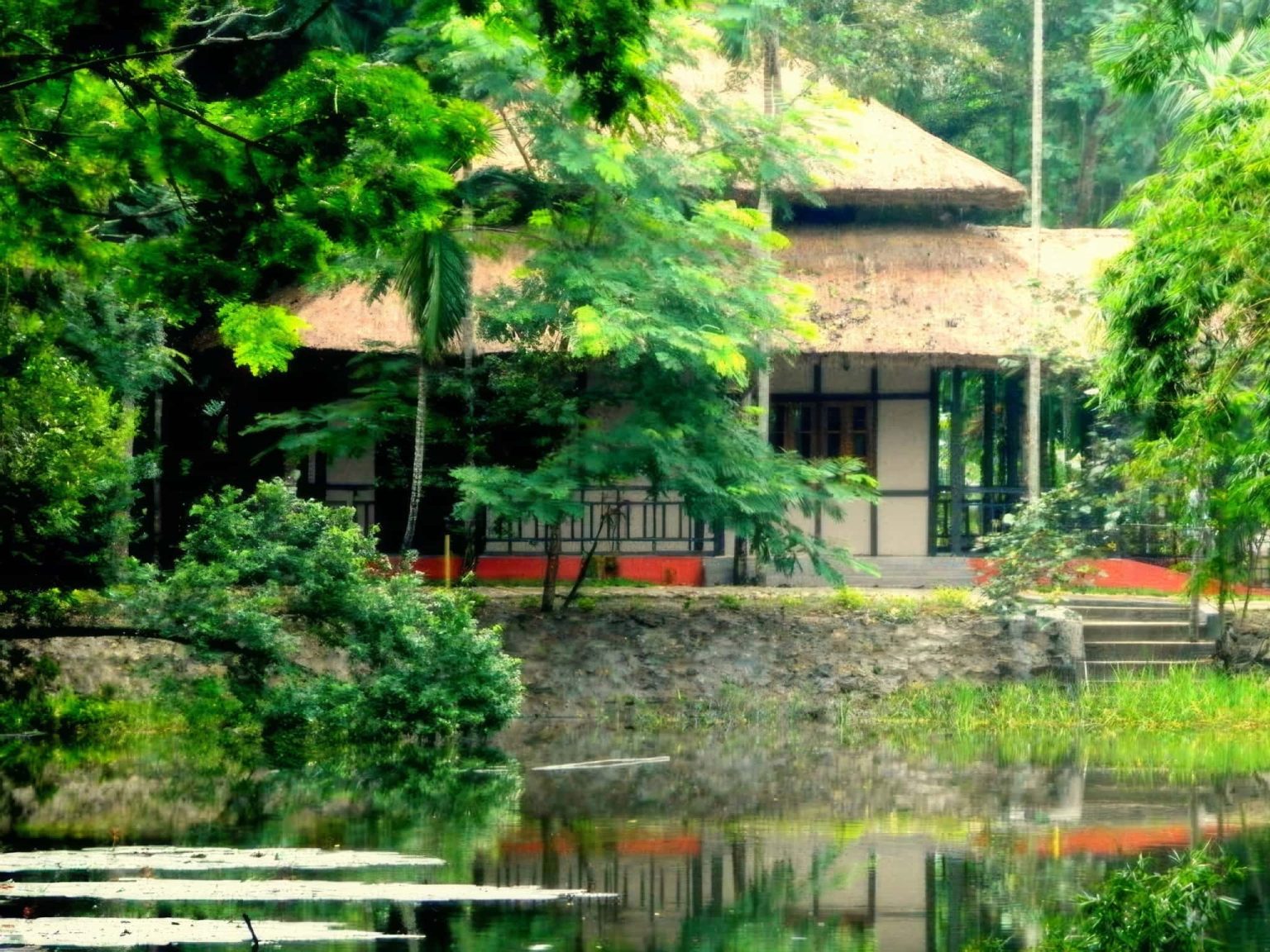 Wildlife Of Kaziranga National Park Accommodation 03