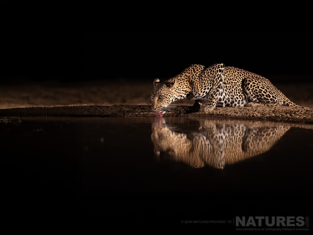 Join Us For The Wildlife of Shompole Wilderness Photography Safari