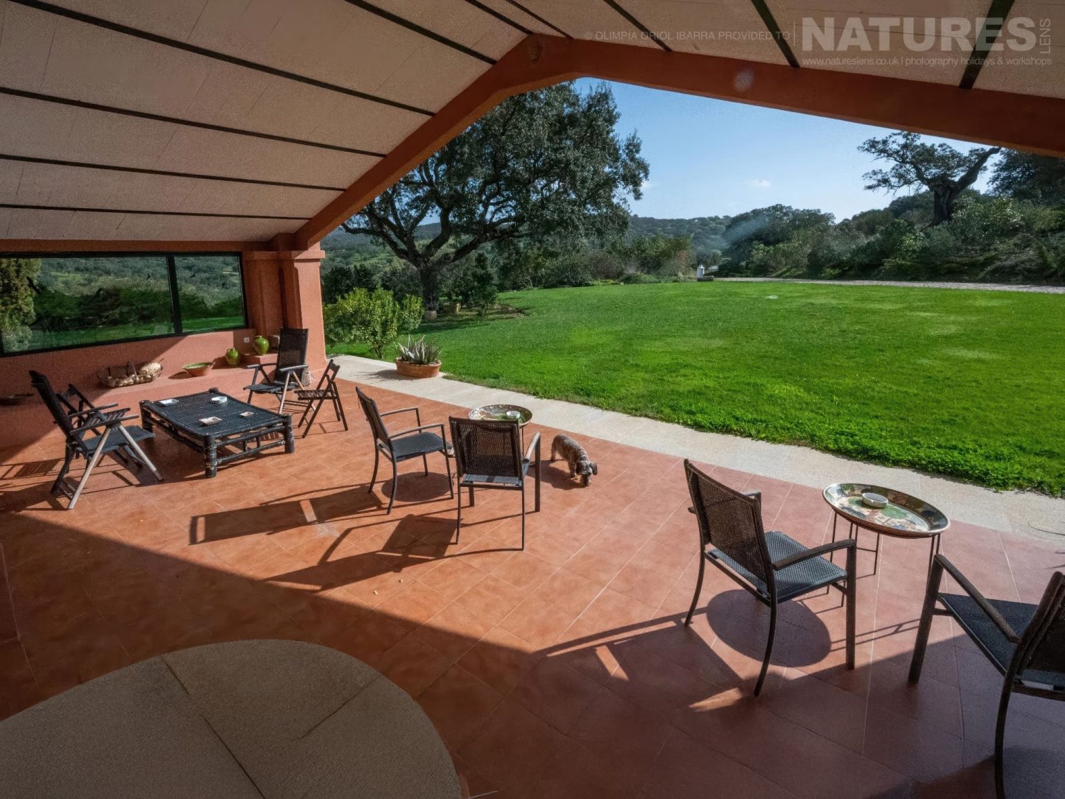 The External Lounge Area Of The Casa The Accommodation On The Estate Used For The Natureslens Birds Of Extremadura Photography Holiday