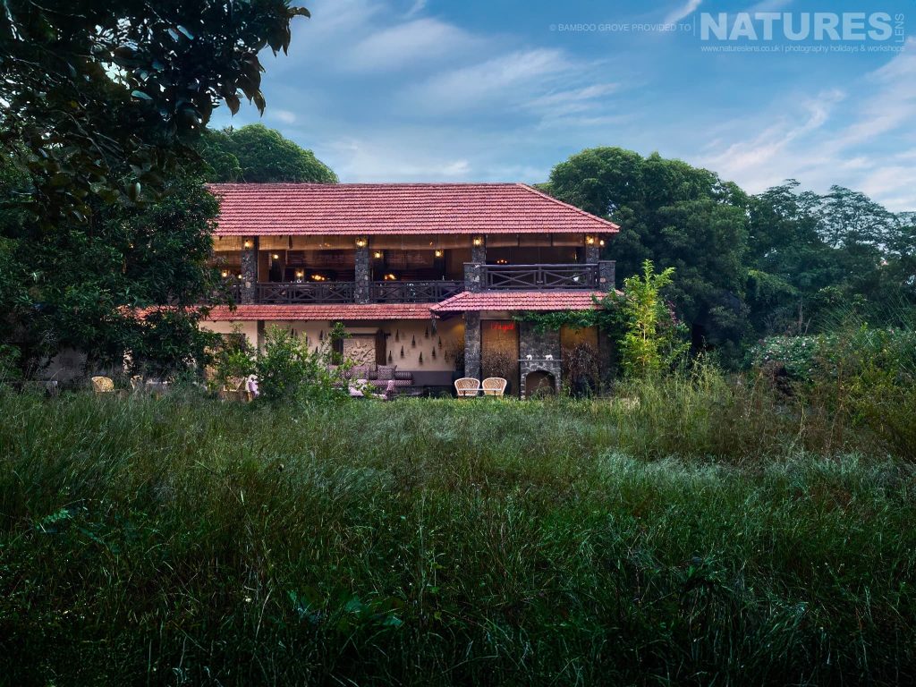 Bamboo Grove – A New Luxury Lodge for our Bandhavgarh Tiger Photography Tours with NaturesLens in {acf_year}