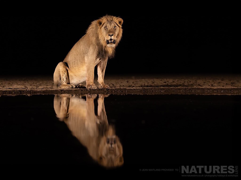 What Can You Hope to Photograph in One Week at Shompole Wilderness? with NaturesLens in {acf_year}